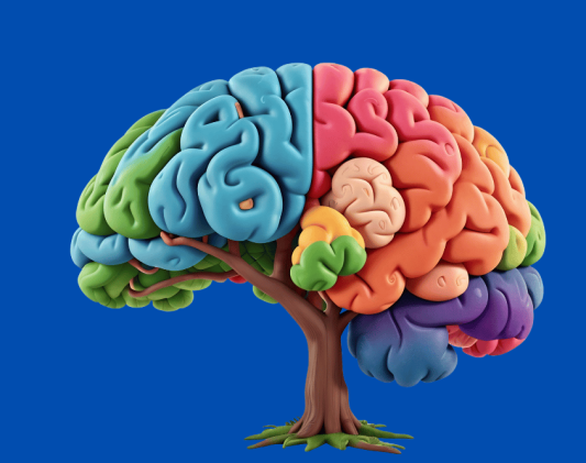 exercises for a healthy brain