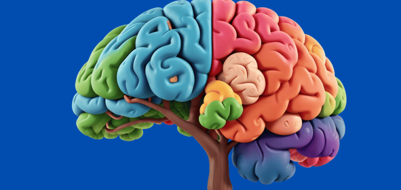 exercises for a healthy brain