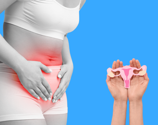 Woman’s Guide to Menstrual and Fertility