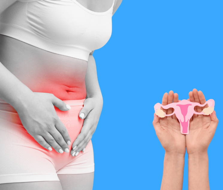 Woman’s Guide to Menstrual and Fertility