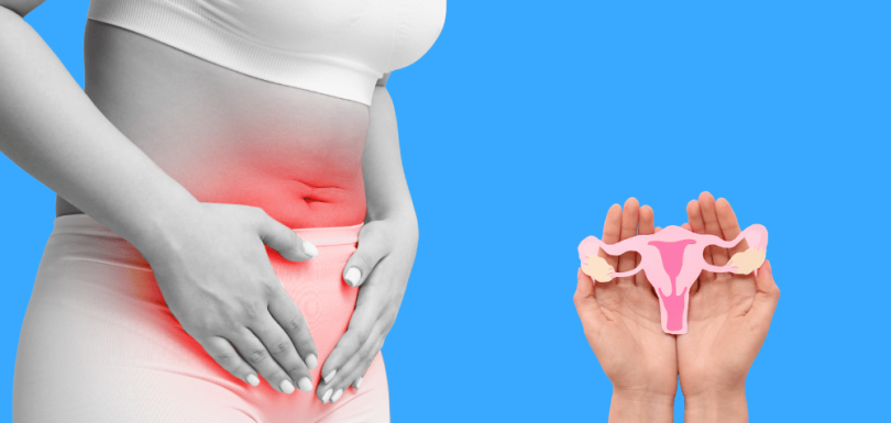 Woman’s Guide to Menstrual and Fertility